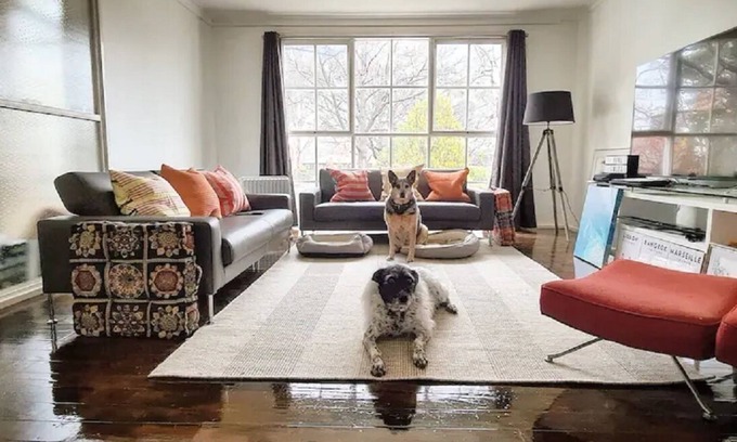 Watson House | Pet Friendly Inner City Comfort. Coffee Food Shops a 2min Walk
