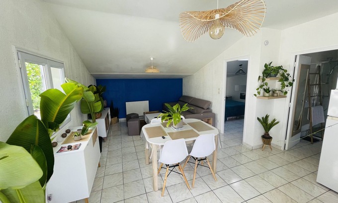Asnieres-la-Giraud House | Petit Maison du Loubat Avec Jardin