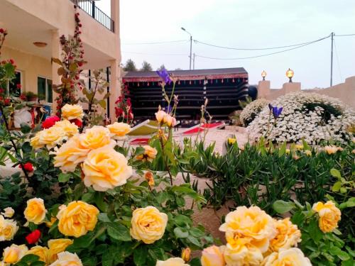 Wadi Musa Bed & Breakfast | petra farmershouse
