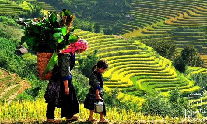 Sa Pa House | Phơri's House - THE MOUNTAINEER
