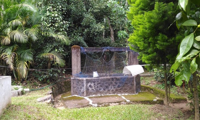 Pirmed Bed & Breakfast | Philip Mary Farm Stay, Thekkady