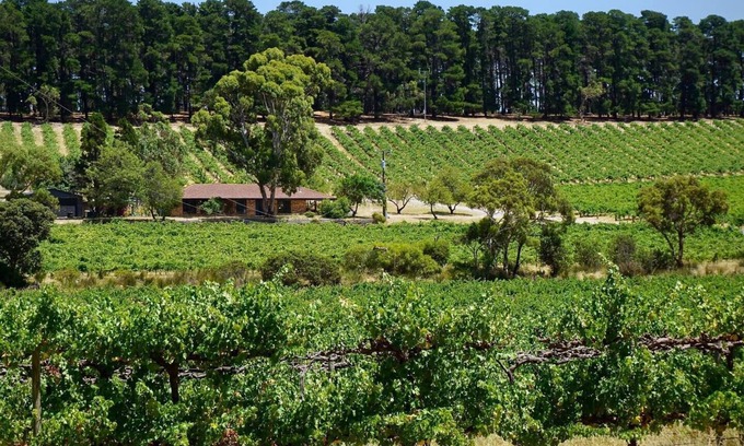 McLaren Vale House | Picturesque Vineyard Farmhouse Nestled on 40 Acres