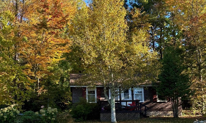 Charleston Cabin | PINE COTTAGE: Pristine Echo Lake in the NEK of Vermont. Family and pet friendly!