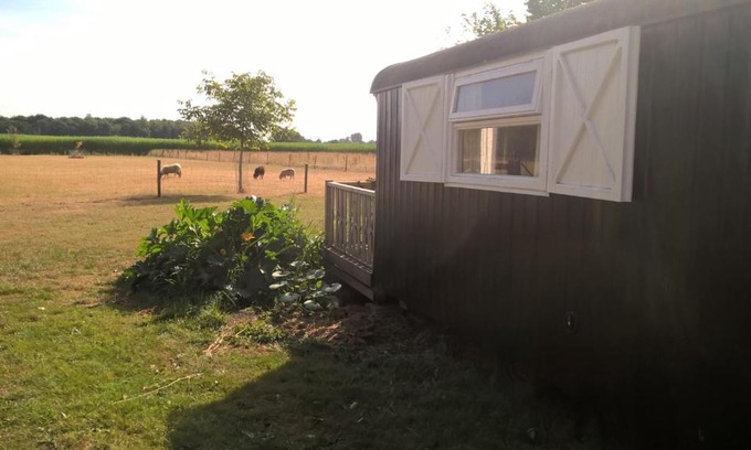Onstwedde Bed & Breakfast | Pipowagen Lidewei Groningen Westerwolde unieke ligging met eigen tuin en vrij uitzicht over veld naar natuurgebied