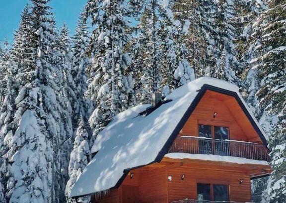 Kasidoli Ski Chalet | Planinska kuća Dunja