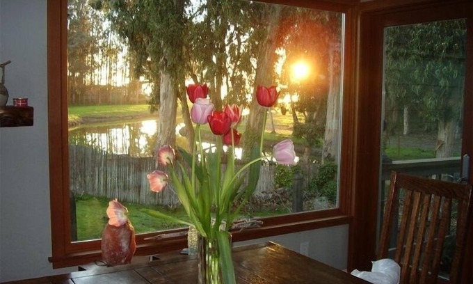 Opal Cliffs House | Pleasure Point Paradise! Beach and Lagoon Views!