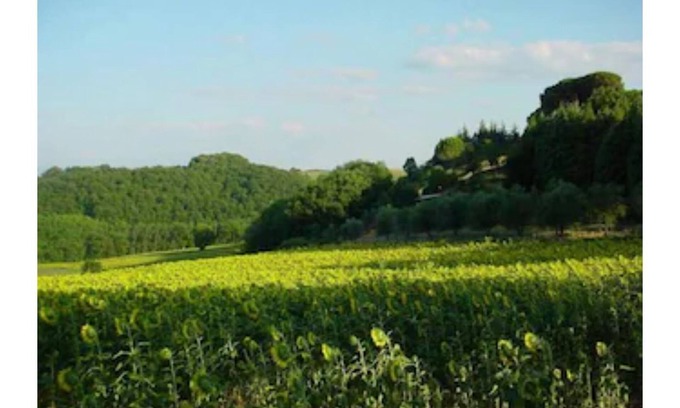 Ramazzano House | Podere Caldaruccio La Pineta -18 people Cottage & Villa