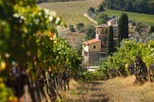San Pietro in Bossolo House | Poggio Rozzi