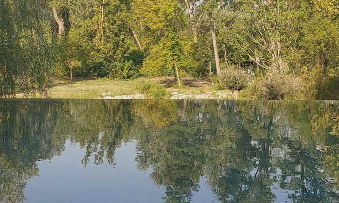 Monteux House | Pool House Avec Piscine et SPA Privés,à 20 km D'avignon, 5 min du Parc Spirou
