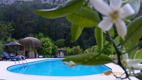 Cirali Cabin | Portalimo Lodge Hotel - Adult Only +12