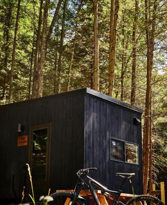 Larue Other | Postcard Cabins Piney Woods