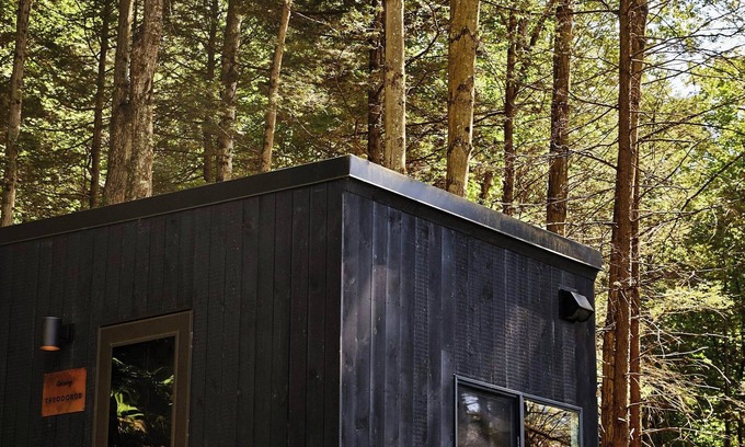 Larue Cabin | Postcard Cabins Piney Woods