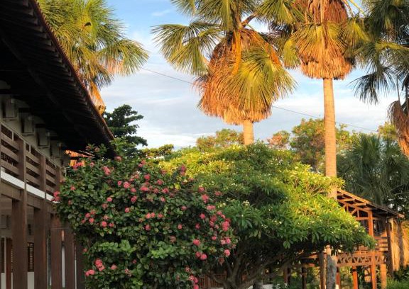 Posse Hotel | Pousada das Palmeiras