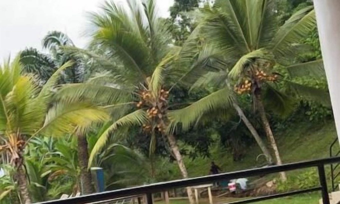 Kribi Apartment | Prestige Beach Residence