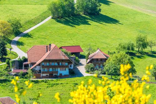 Muehlenbach Apartment | Prinzbachhof