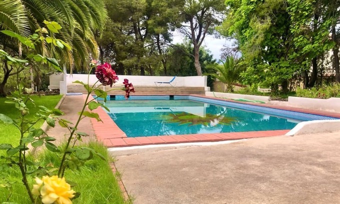 Betera House | Private bungalow in an ecological farm 30 minutes from Valencia and beaches.
