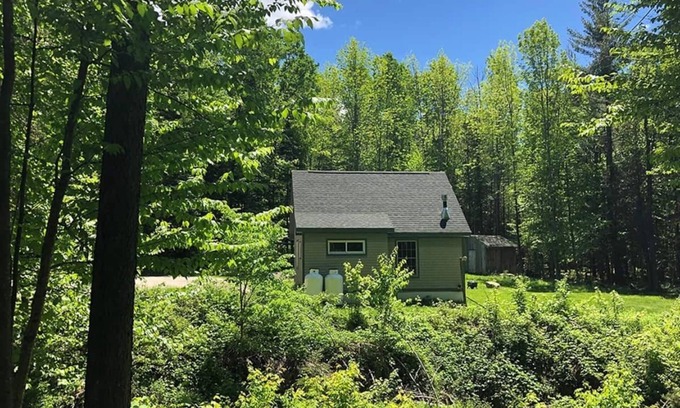 Mount Holly Cabin | Private Cabin/Pets OK/AC/Minutes to Okemo/Fast WiFi