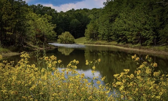 Mentone Cabin | Private, Cozy Cabin only 7 min from Downtown Mentone