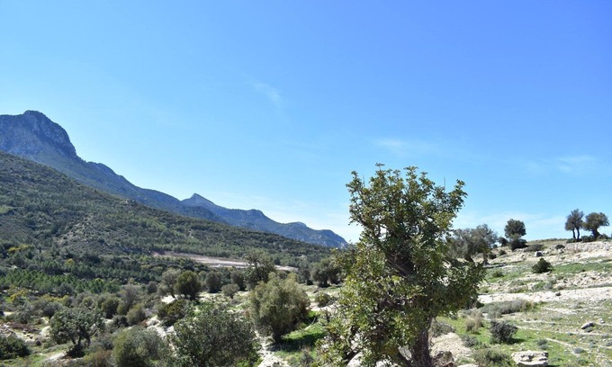Arapkoy Villa | Private Family Villa in Arapkoy