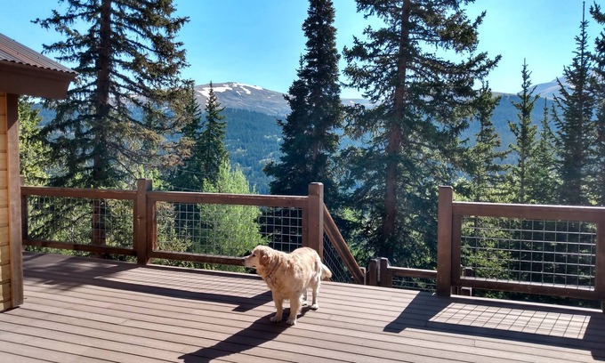 Alma Cabin | Private Mountainside Perch with Hot Tub/Pet Friendly/Retro Chic - Alpine Haus