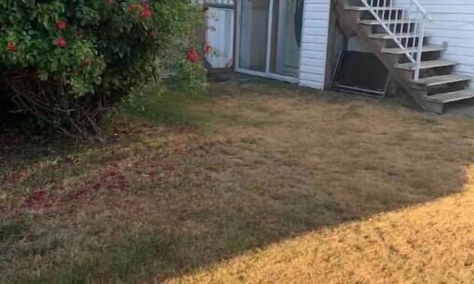 Surrey Newton Apartment | Private suite, separate entrance, central location