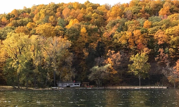 Naples Cottage | Private! Unique Lake Front Cottage. Heron Cove Sanctuary, Beauty & Peace!