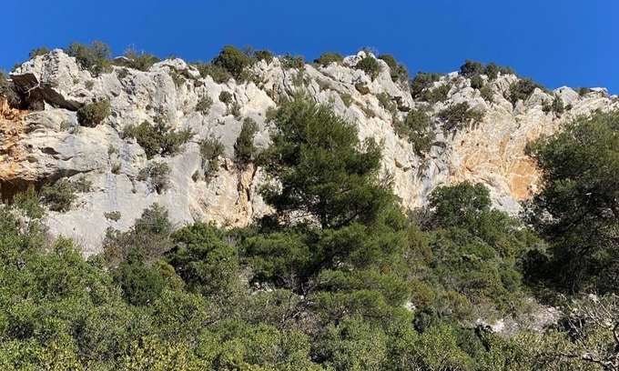 Vauvenargues Apartment | Provençal Country Home/Apartment - Garden and Swimming Pool