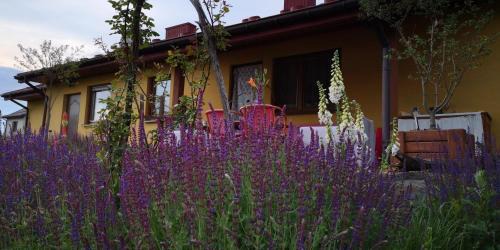 gmina Ruda Maleniecka House | Pszczeli Ogród - agroturystyka