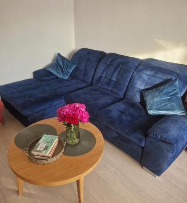 Birstonas Apartment | Pušų lašas apartamentai