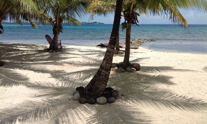 Isla de Utila House | Purple Jawfish Beach House On Private White Sand Beach in Front of Amazing Reef!