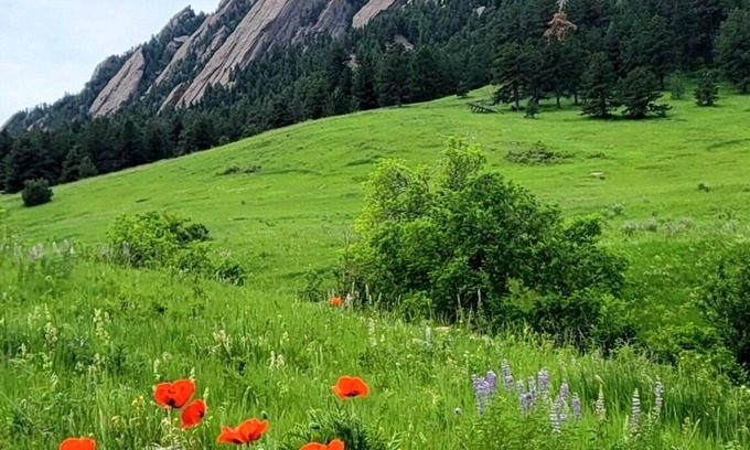 University Hill Cottage | Quiet Cottage Retreat Near Chautauqua & CU – Peaceful University Hill Location