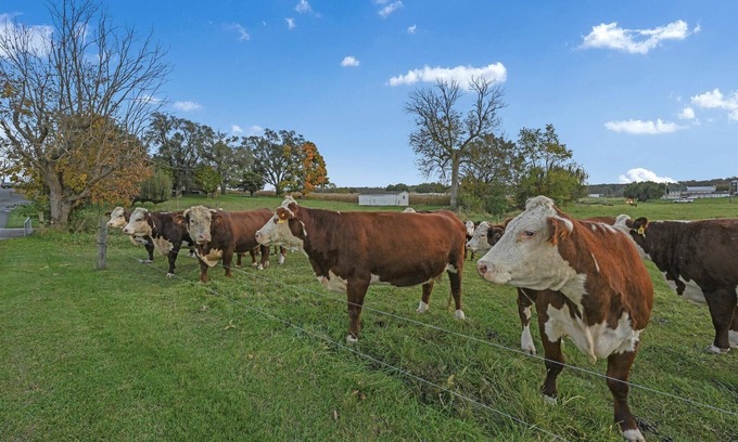 Paradise Apartment | Quiet, private apartment on a 160-year-old farm. Attractions within 5 miles.