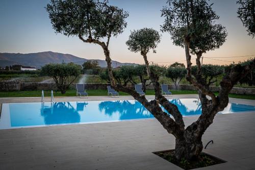 Fundao Hotel | Quinta das Oliveiras Turismo Rural