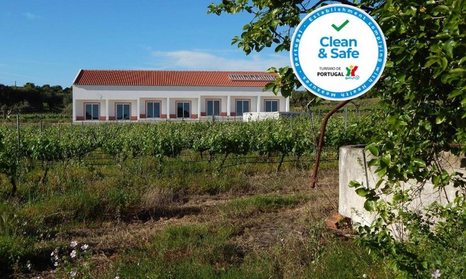 Vidigueira House | Quinta das Ratoeiras