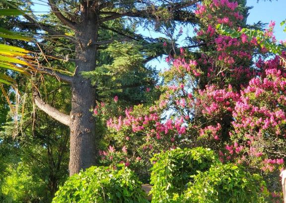 Chacras de Coria Bed & Breakfast | Quinta Ugarte