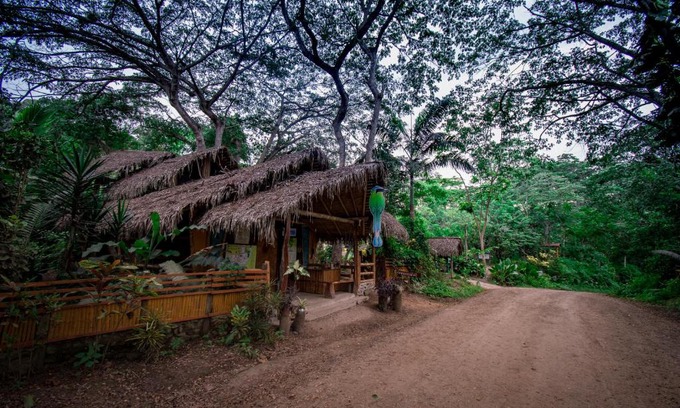 Canoa Cabin | Río Muchacho Organic Farm