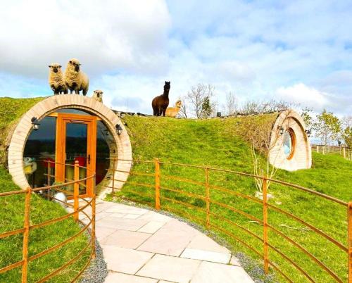 Llansantffraid-ym-Mechain House | Rabbit Warren