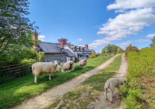Aymestrey House | Ramblers Rest