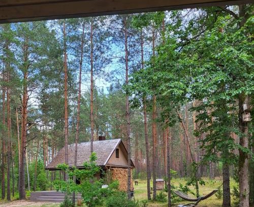 Alytus county House | Ramus poilsis miške su kedro pirtimi ir kubilu