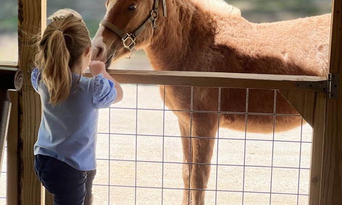 Centerville Cabin | Ranch Lodge - A Texas Ranch Getaway