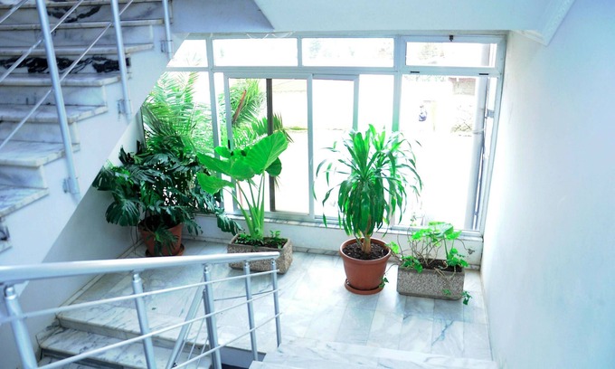 Arada Hotel | Ras Amba Hotel