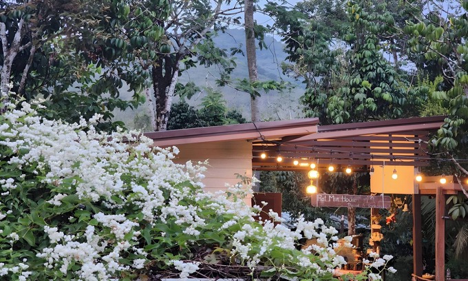 Hat Yai House | Rat Min House