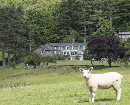 Bassenthwaite House | Ravenstone Lodge Country House Hotel