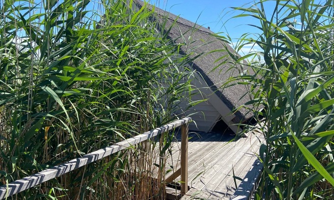 Rust Cabin | Reed hut/pile dwelling on Lake Neusiedl
