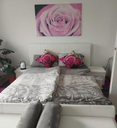 Nuremberg Old Town House | Reiheneckhaus mit Terasse