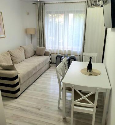 Bicaz Apartment | Relax Apartament Bicaz