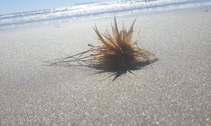 Waihi Beach House | Relax Waihi Beach Style.