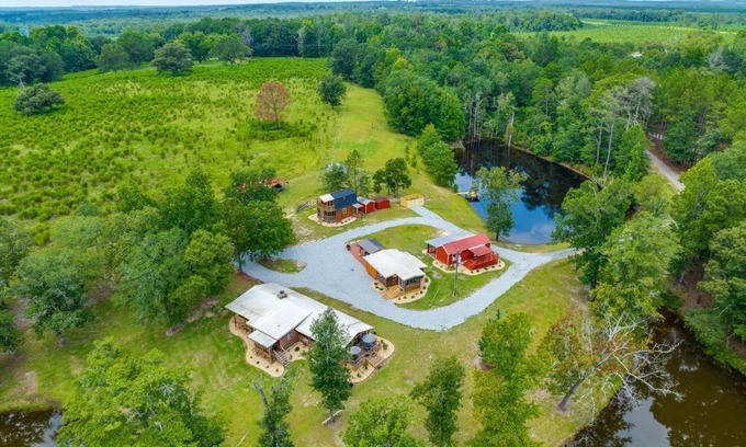 Mauk House | Relaxing Buena Vista Getaway with Lush Lake Views