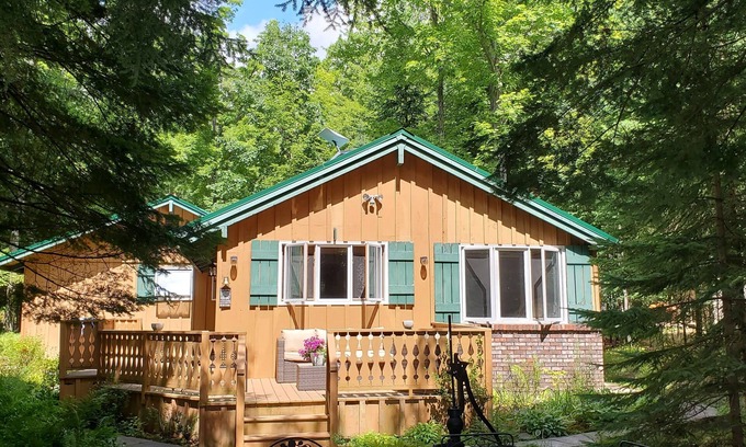 Townsend Cabin | Remodeled Northwoods Lakefront Retreat- 85' of Lake Frontage on Horn Lake