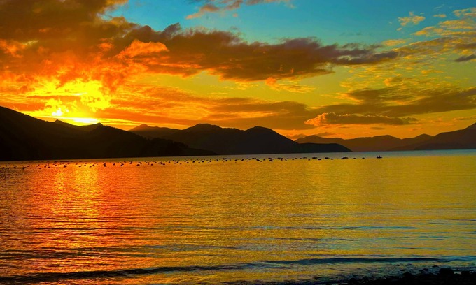 Saint Omer House | Remote Pelorus Sound Kiwi Bach on the Beach with Great Views